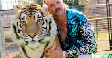 don’t-expect-to-see-nicolas-cage-as-joe-exotic-the-tiger-king-any-time-soon-–-cnet-[cnet]