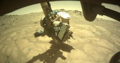 mars-perseverance-rover-investigates-‘garden-pavers’-in-ancient-lakebed-–-cnet-[cnet]