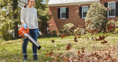 how-to-use-your-leaf-blower-every-season-of-the-year-–-cnet-[cnet]