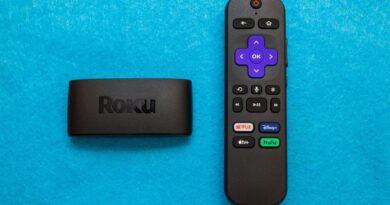 3-reasons-roku-is-the-go-to-streamer-for-vacation-rental-owners-–-cnet-[cnet]