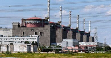 ukraine’s-biggest-nuclear-plant,-zaporizhzhia,-seized-by-russian-forces-–-cnet-[cnet]