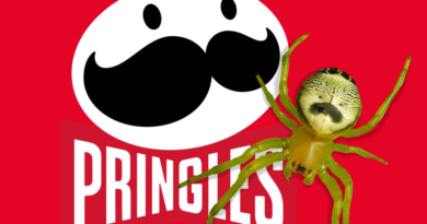 look-at-how-much-this-spider-looks-scarily-like-the-cartoon-pringles-mascot-–-cnet-[cnet]