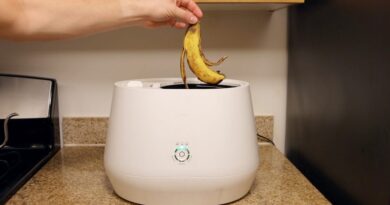 lomi-countertop-composter-review:-an-easy,-clean-way-to-compost-at-home-–-cnet-[cnet]