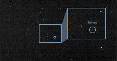 nasa’s-asteroid-smashing-dart-spacecraft-snaps-first-look-at-its-target-–-cnet-[cnet]