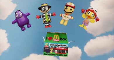 mcdonalds’-happy-meal-inspired-box-for-adults-is-out-now:-what-you-get-–-cnet-[cnet]