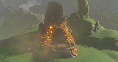 tears-of-the-kingdom-fans-think-they’ve-figured-out-what-happened-to-breath-of-the-wild’s-shrines-[ign]