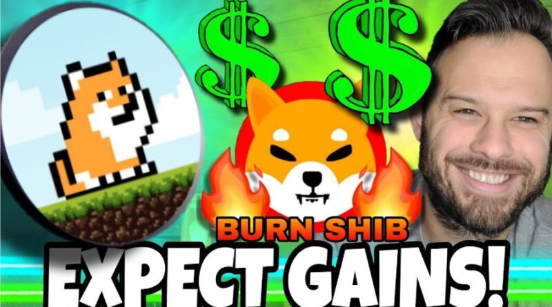 former-goldman-sachs-analyst-predicts-new-profitable-cycle-for-meme-coins-–-shiba-inu-and-playdoge-are-experts’-top-picks-[readwrite]