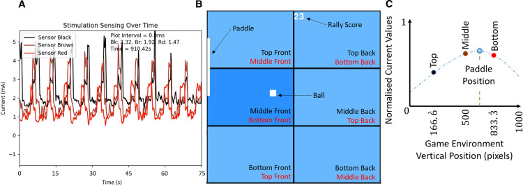 pong-in-a-petri-dish:-teasing-out-how-brains-work-[hackaday]